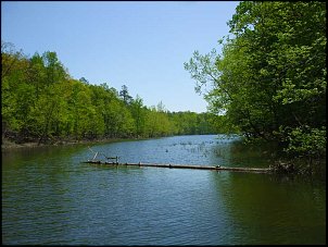 Click image for larger version

Name:	Lake-Ouachita-creek-arm.jpg
Views:	676
Size:	62.0 KB
ID:	8716