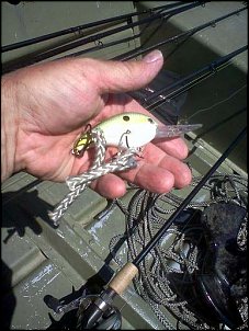 Click image for larger version

Name:	crankbait with anchor rope.jpg
Views:	416
Size:	60.0 KB
ID:	8136