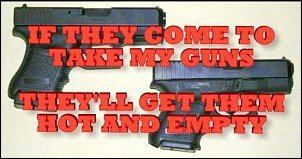 Click image for larger version

Name:	guns.jpg
Views:	332
Size:	59.7 KB
ID:	8444