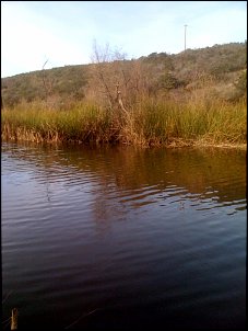 Click image for larger version

Name:	East end of MRMR pond.jpg
Views:	274
Size:	127.9 KB
ID:	3078