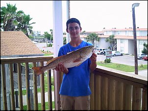 Click image for larger version

Name:	redfish #1.jpg
Views:	404
Size:	208.7 KB
ID:	966