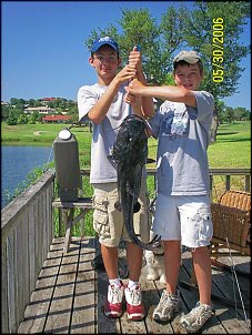 Click image for larger version

Name:	catfish 2 (Large).jpg
Views:	379
Size:	231.8 KB
ID:	967