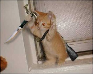 Click image for larger version

Name:	kitty knife.jpg
Views:	434
Size:	70.1 KB
ID:	4684