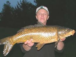 Name:  carp.jpg
Views: 135
Size:  7.2 KB