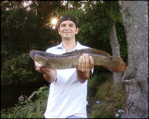 Click image for larger version

Name:	bowfin.jpg
Views:	774
Size:	284.3 KB
ID:	6447