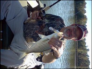 Click image for larger version

Name:	striper.jpg
Views:	740
Size:	47.1 KB
ID:	8931