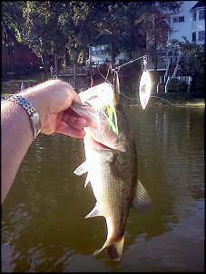Click image for larger version

Name:	largest bass 8-5-12.jpg
Views:	407
Size:	47.7 KB
ID:	8133