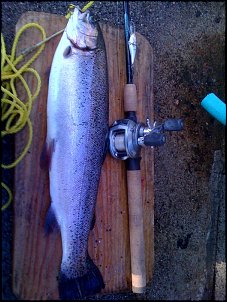 Click image for larger version

Name:	trout.jpg
Views:	359
Size:	197.2 KB
ID:	3069