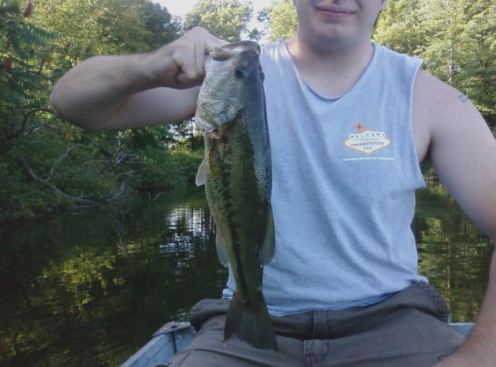 19" PB, Local lake. 10" PowerWorm Watermelon Candy, Texas Rigged, No Swivel, No weight.