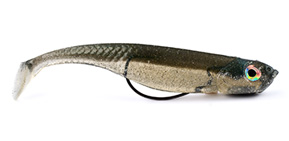 3:16 Mission Fish