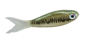 Basstrix Bait Fry