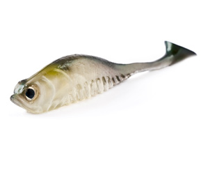 Panic Minnow Swimtail