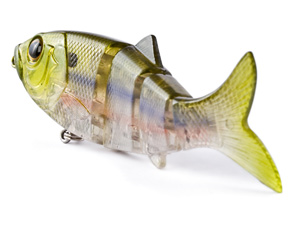 Revolution Shad