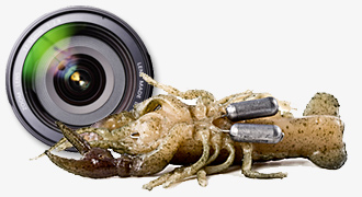 Fishing Lure Photos