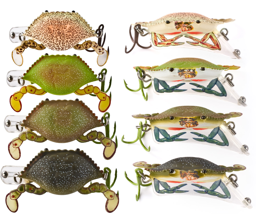 Baby CW Crab 1