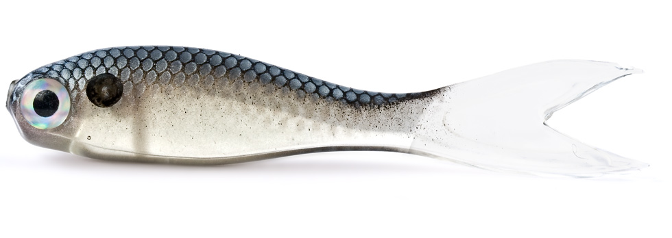 Bait Fry 1