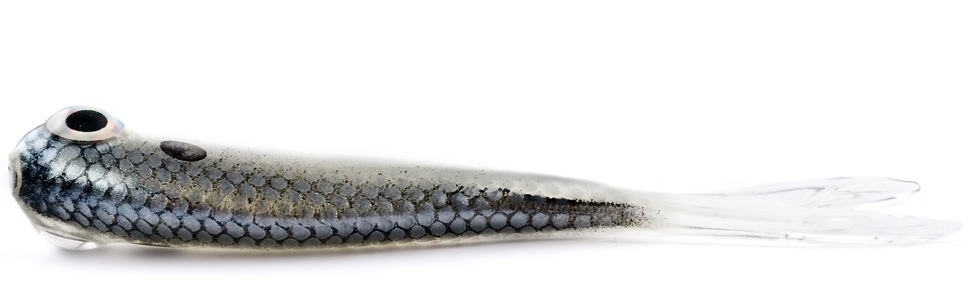 Bait Fry 3