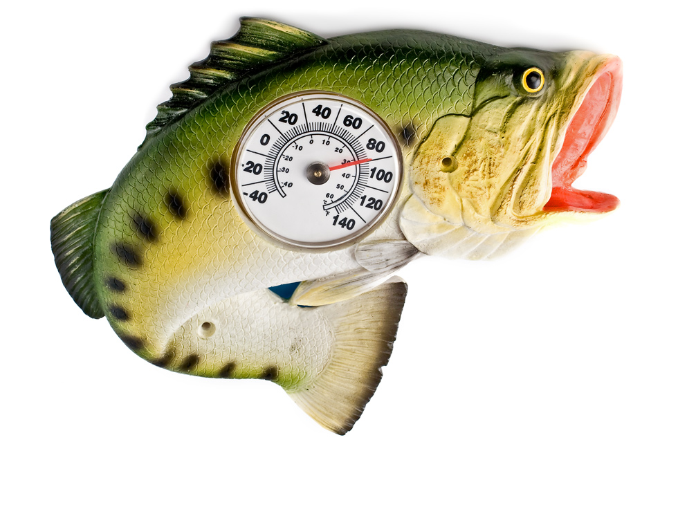 Bass Thermometer 1