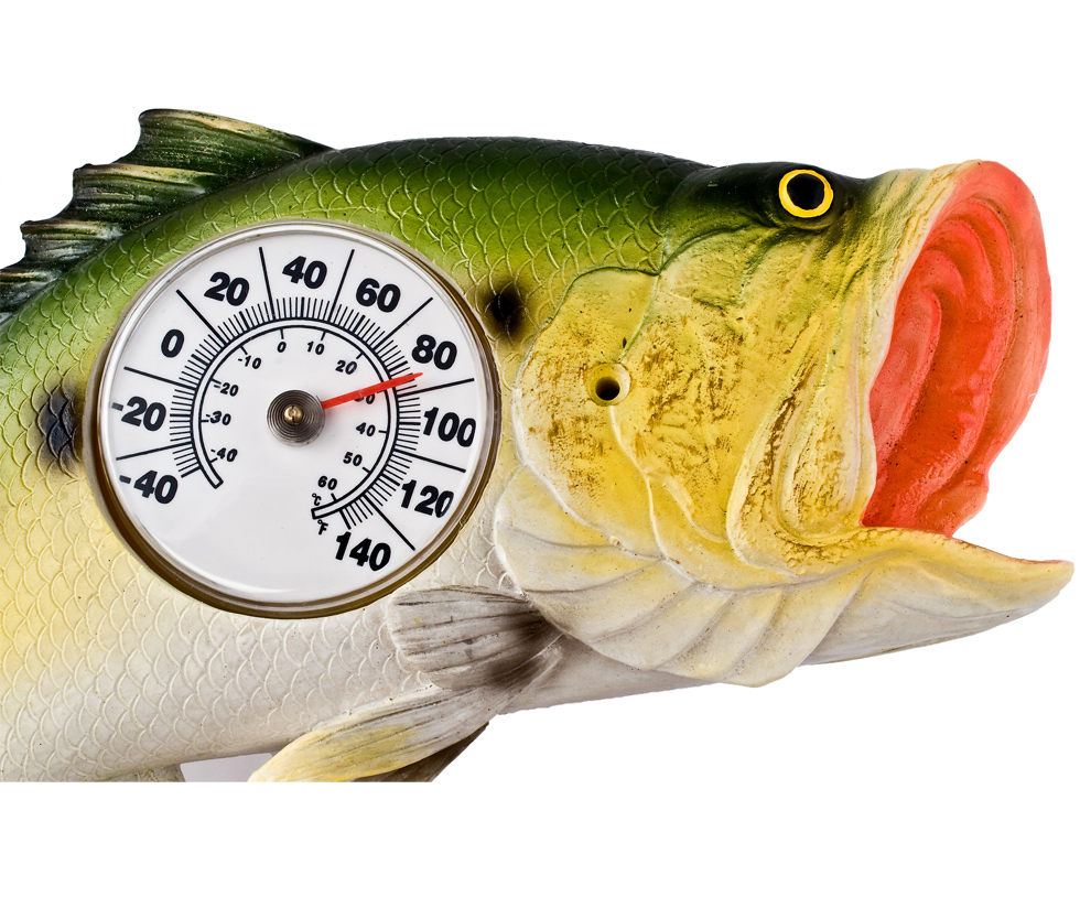 Bass Thermometer 2