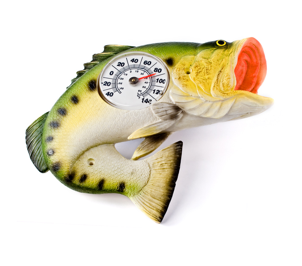 Bass Thermometer 4