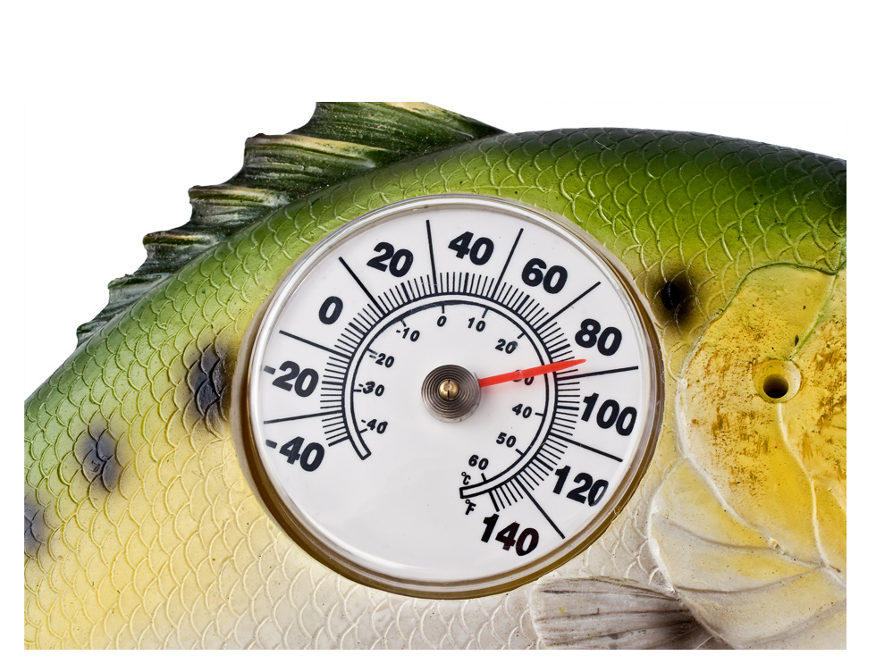 Bass Thermometer 6