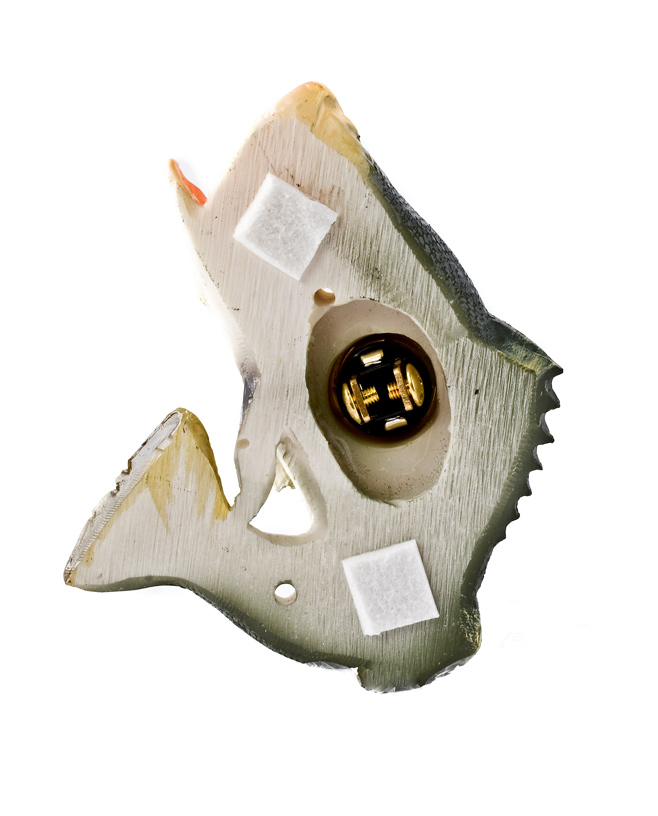 Doorbell Cover 3