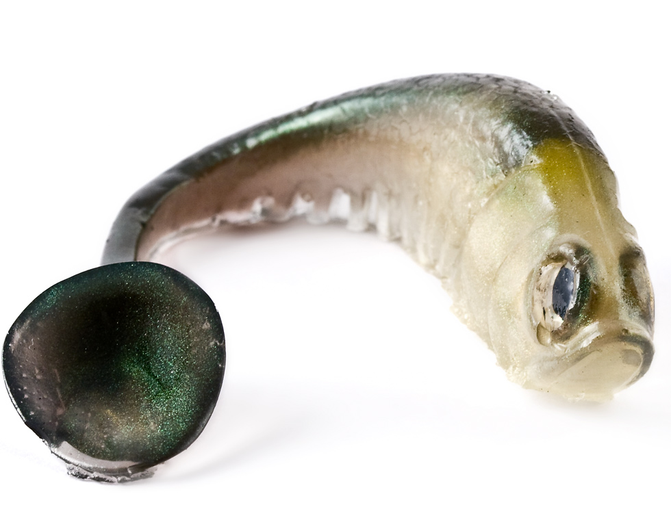Panic Minnow Swimbait 7