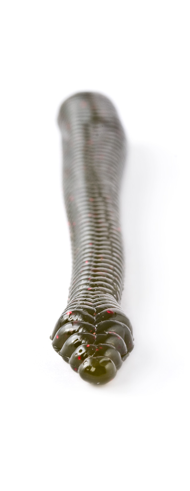 4.5" Shakie Worm 5