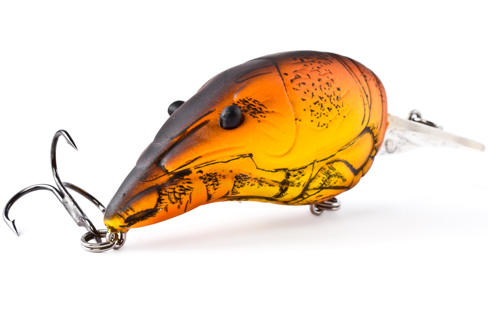 LIVETARGET Crawfish 5