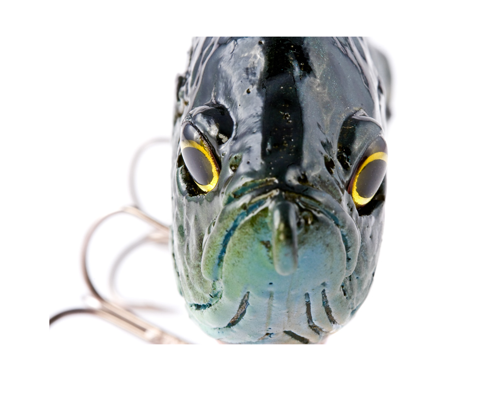 Hard Bluegill (Male) 10