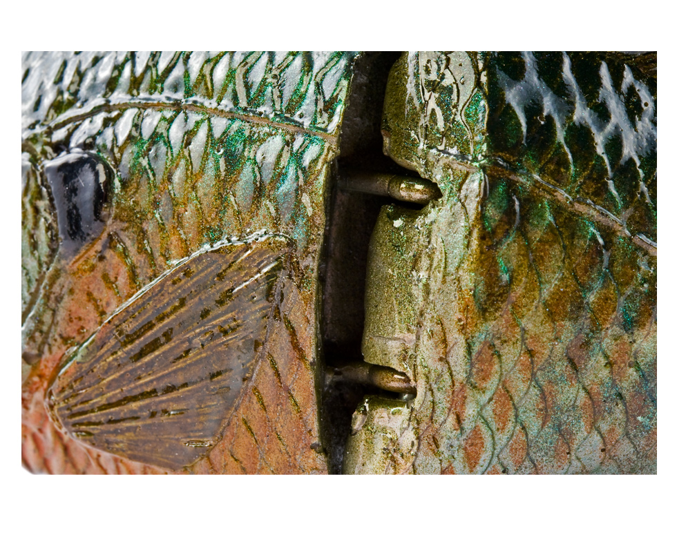 Hard Bluegill (Male) 12