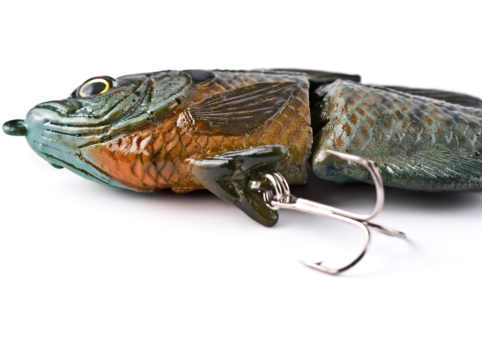 Hard Bluegill (Male) 13
