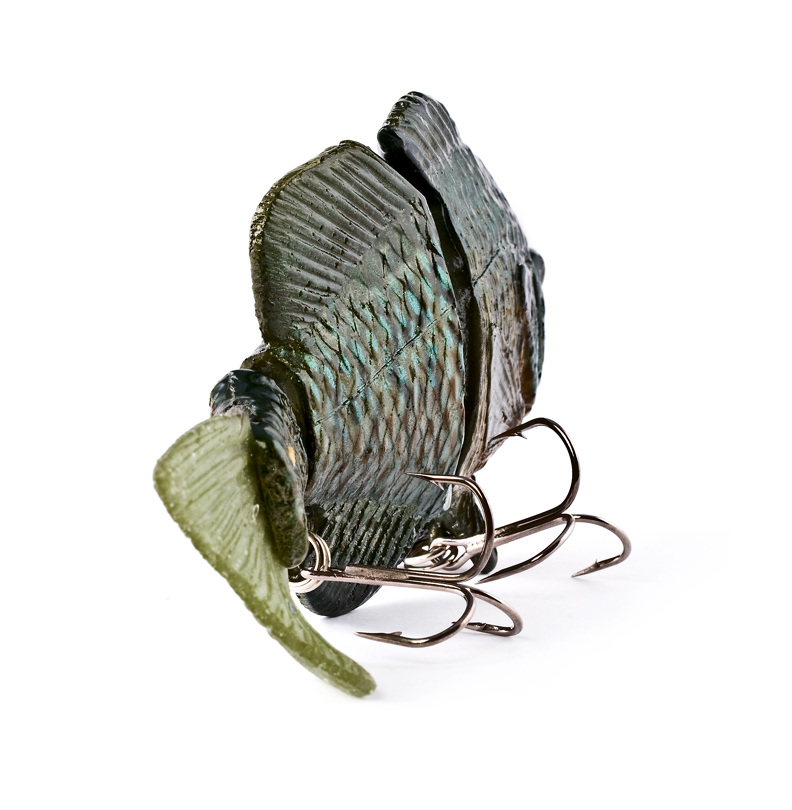 Hard Bluegill (Male) 7
