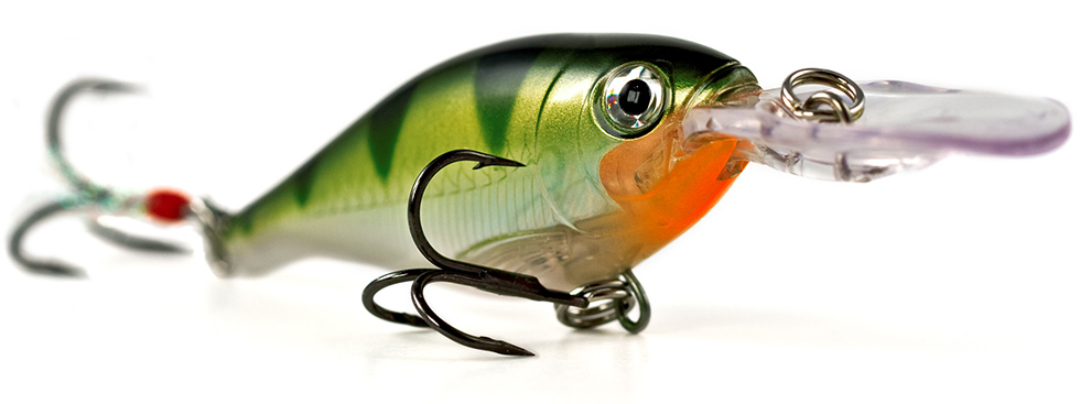 X-Rap Shad 1