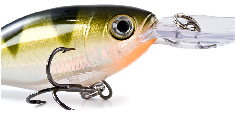 X-Rap Shad 2
