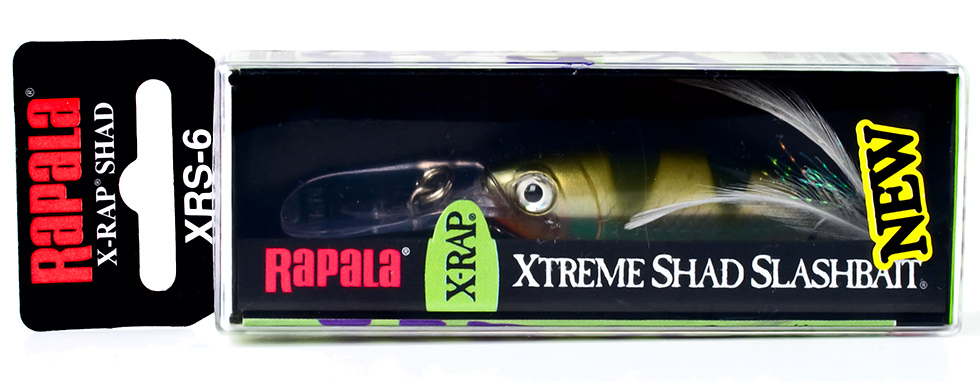 X-Rap Shad 5
