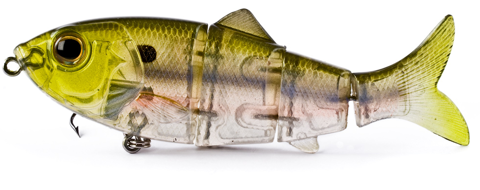 rEVOLUTION Shad 1