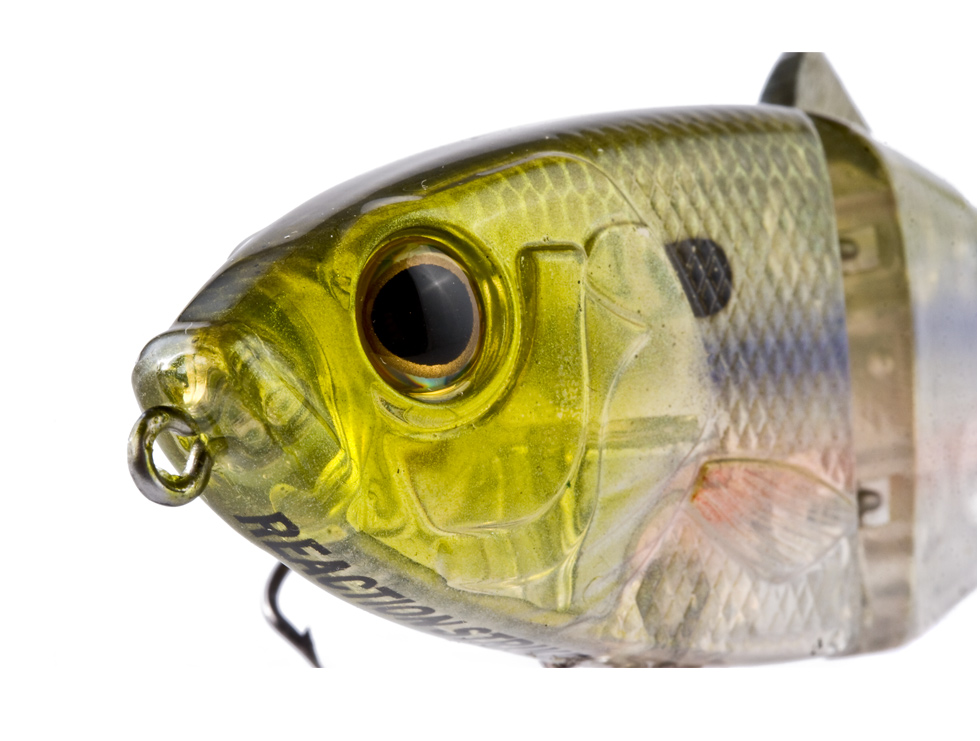 rEVOLUTION Shad 4