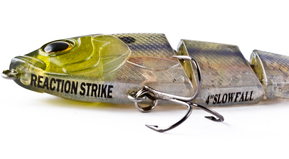 rEVOLUTION Shad 5