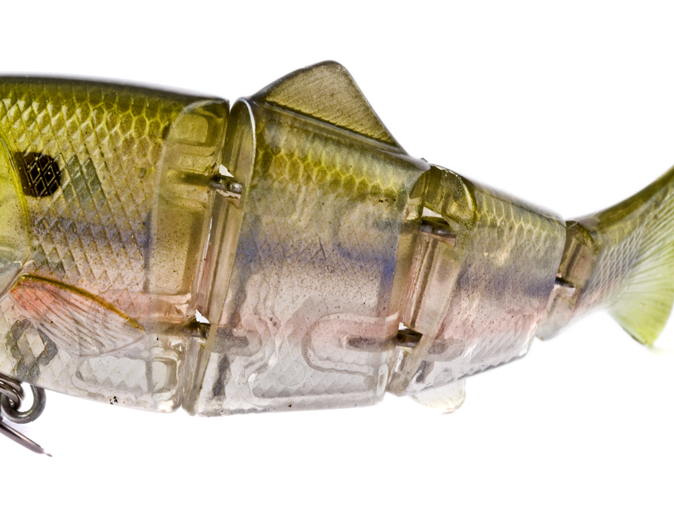 rEVOLUTION Shad 6