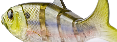 rEVOLUTION Shad
