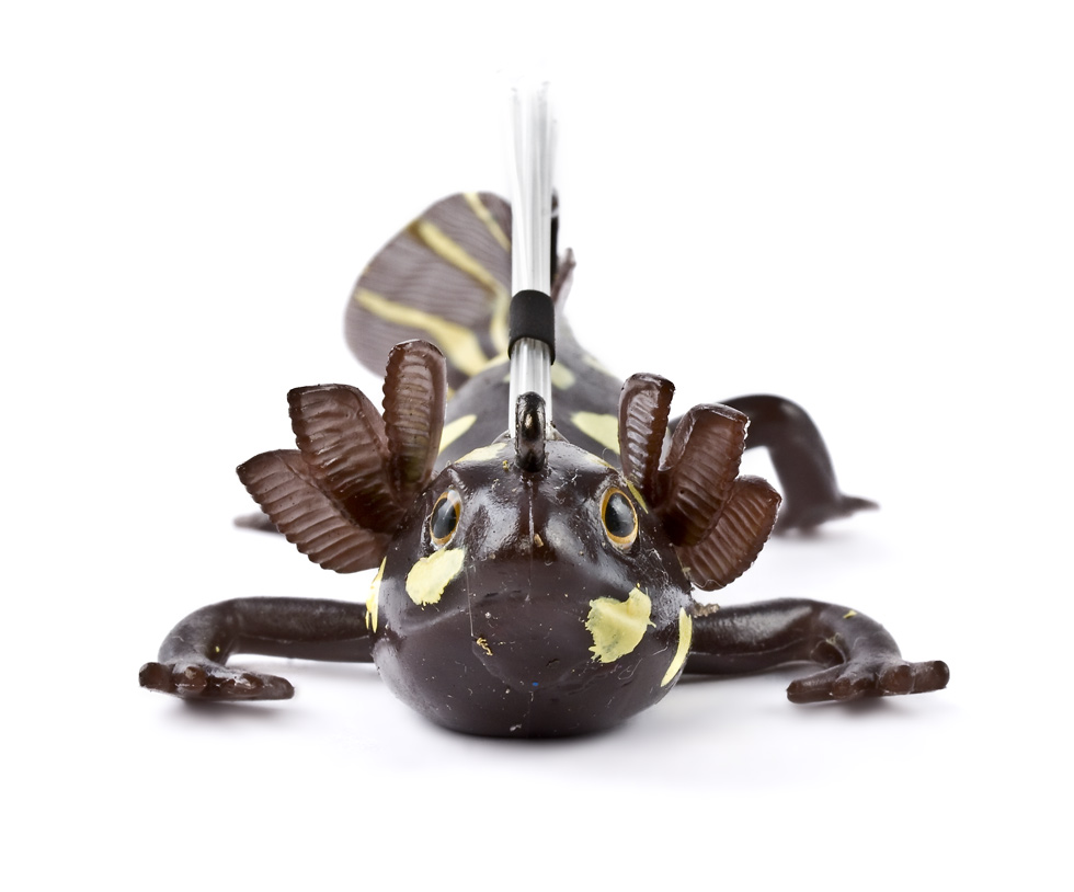 Nest Raider 2