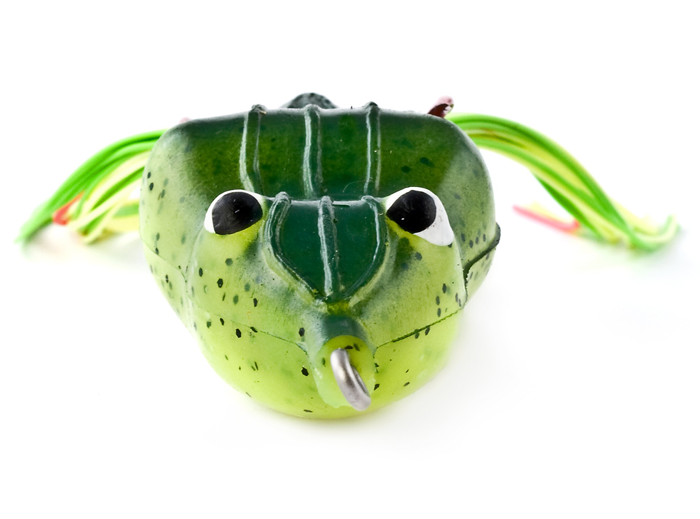Bleedin' Frog 4