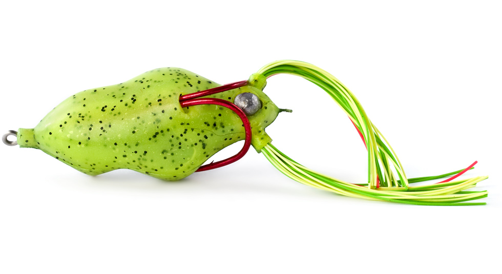 Bleedin' Frog 6