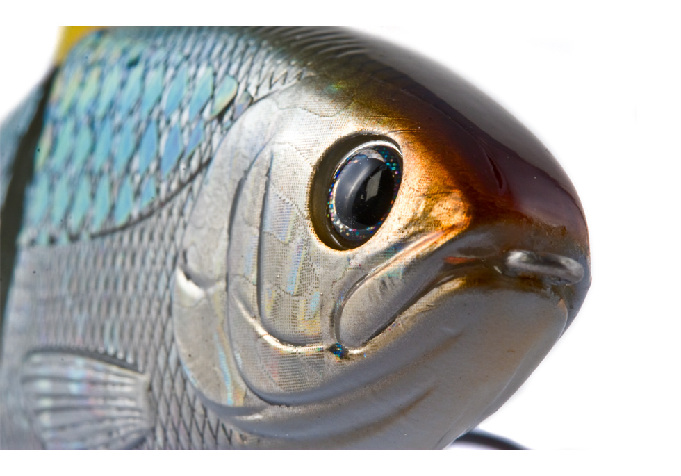 BBZ-1 Shad 10