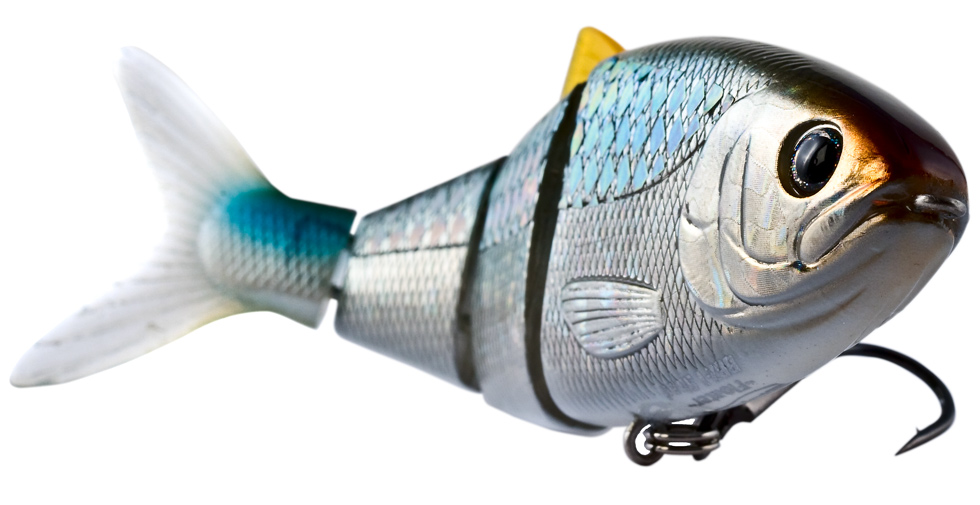 BBZ-1 Shad 5