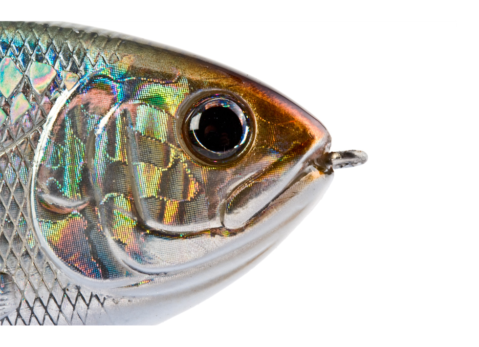 BBZ-1 Shad 7