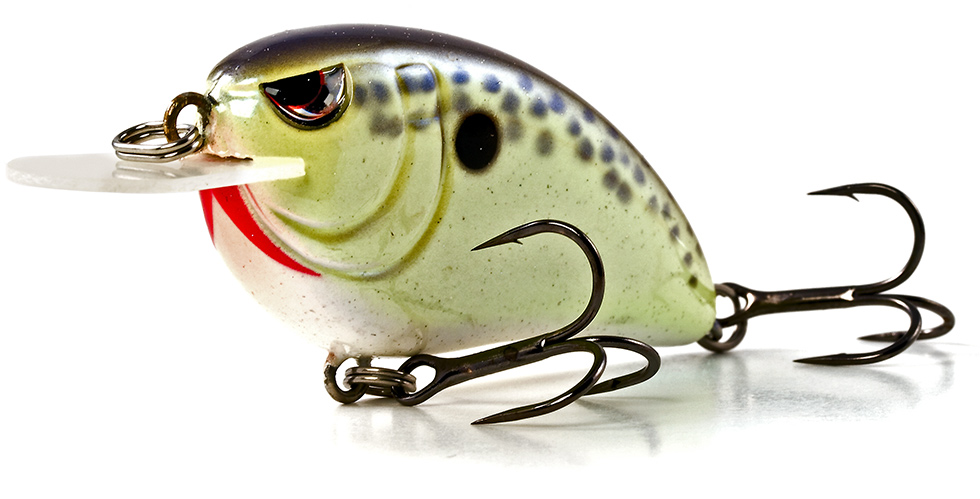 Little John 1