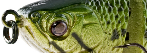 4" Tru-Life Swimbait