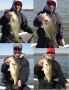 pictures